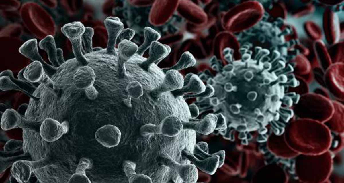 Inmunidad a la infección por SARS-CoV-2 dura al menos seis meses, afirma estudio | El Imparcial de Oaxaca