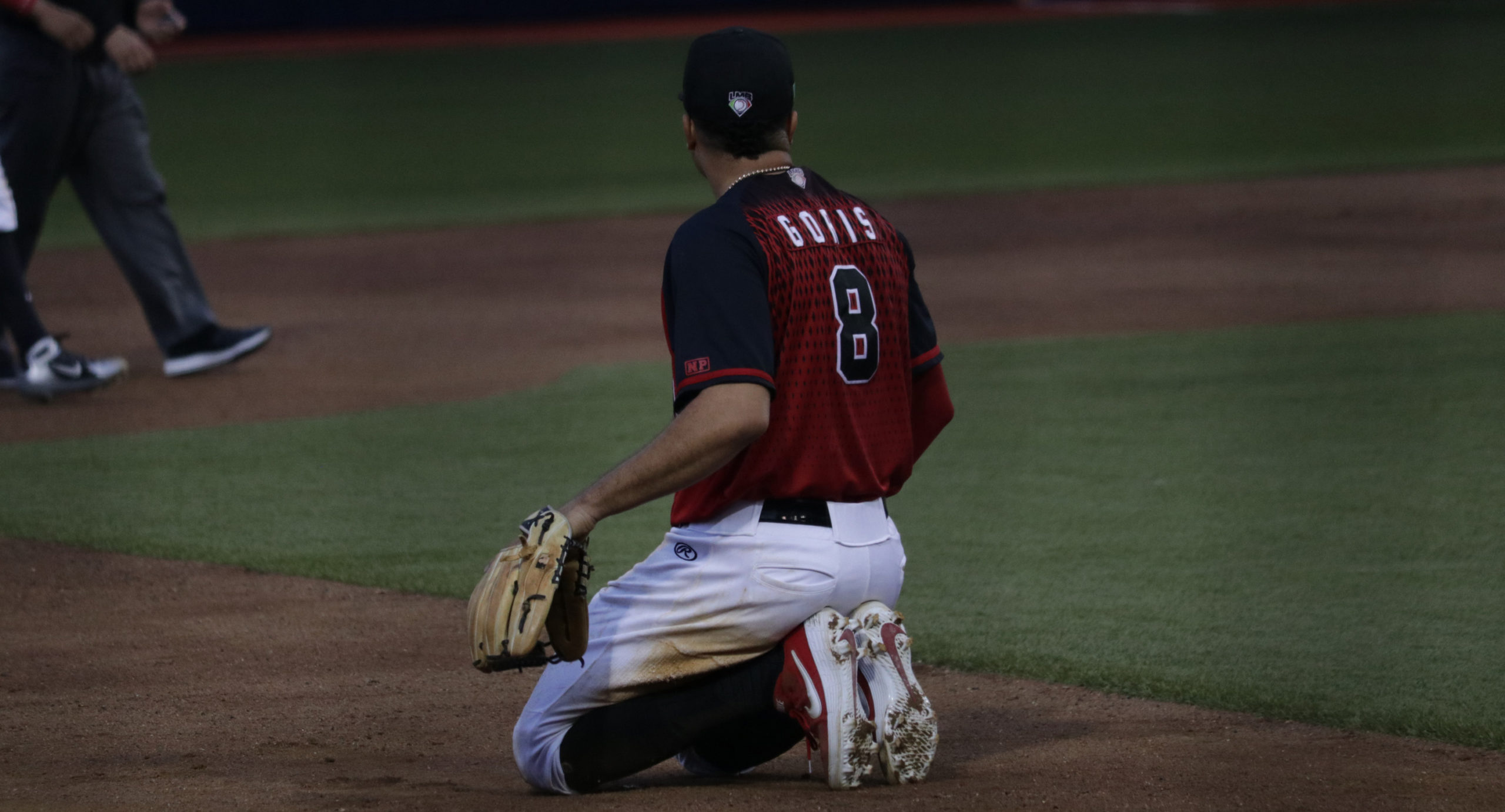 Luto en la Liga Mexicana de béisbol