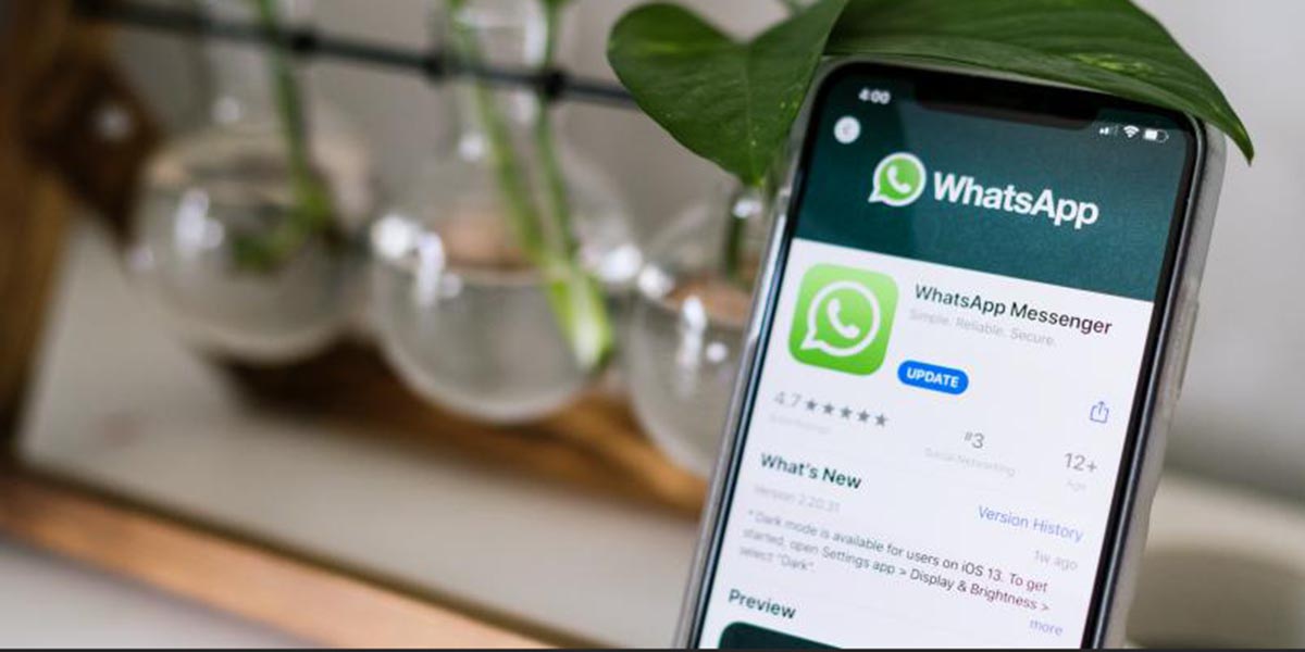 En la próxima actualización de WhatsApp se podrá probar la función multidispositivo | El Imparcial de Oaxaca