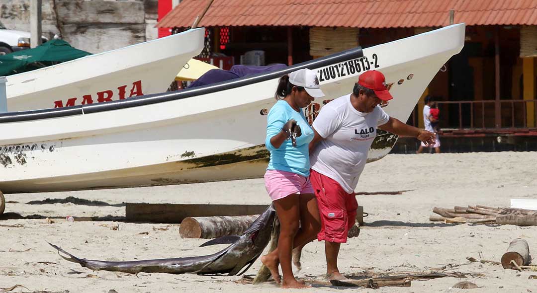 Cae 15% pesca de atún en Oaxaca