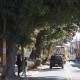 Quieren talar 150 árboles por Citybus; buscan frenar ecocidio en Oaxaca