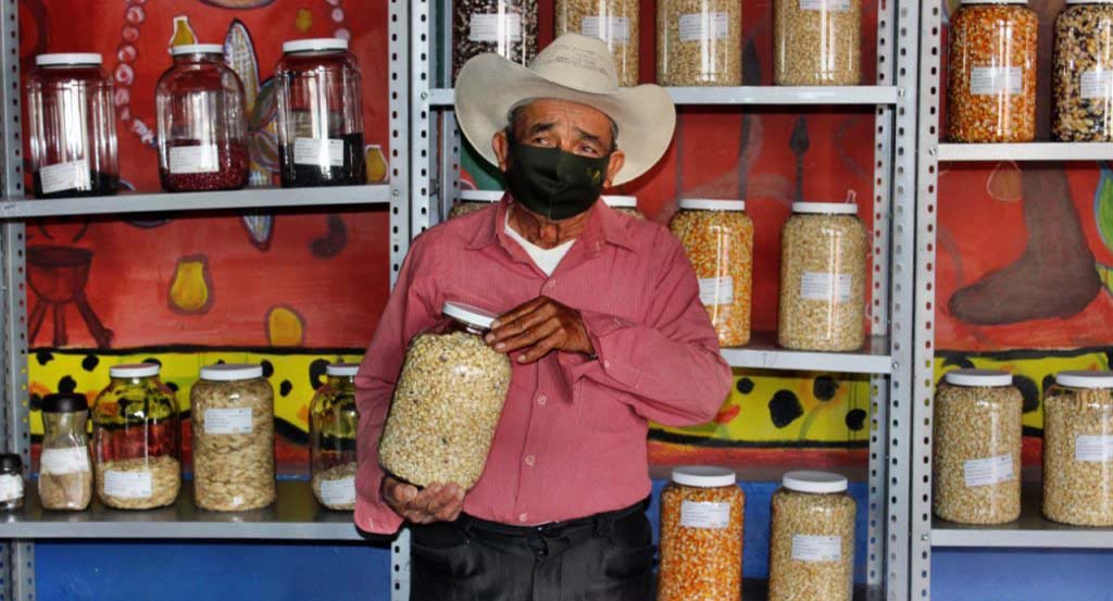 Operan en Oaxaca 12 bancos de semillas; uno está en la Costa | El Imparcial de Oaxaca