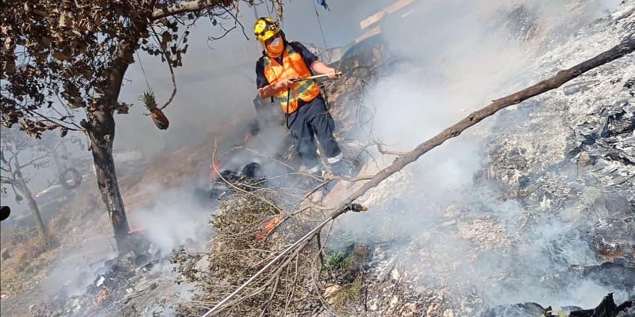 Incendios forestales amenazan a la capital oaxaqueña debido a la actividad humana | El Imparcial de Oaxaca