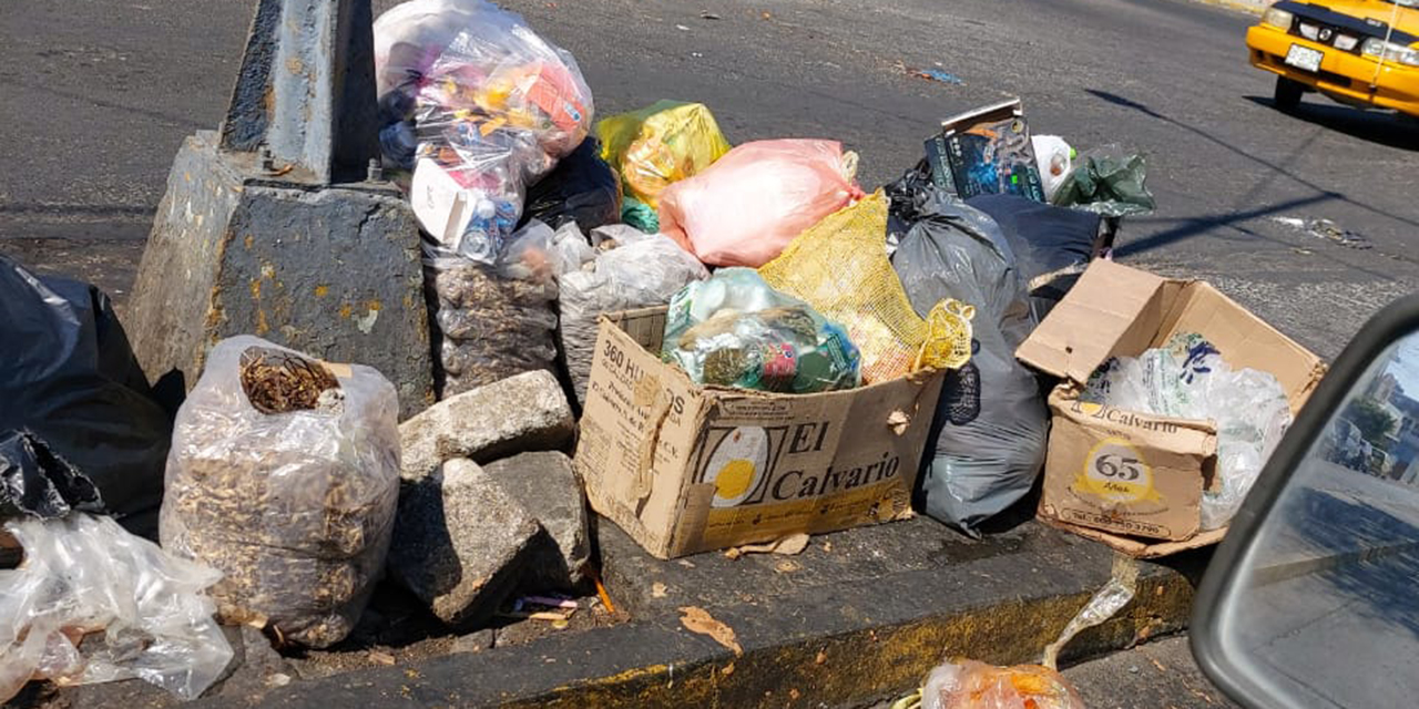 Calles de Salina Cruz, un foco de infección debido a la basura | El Imparcial de Oaxaca
