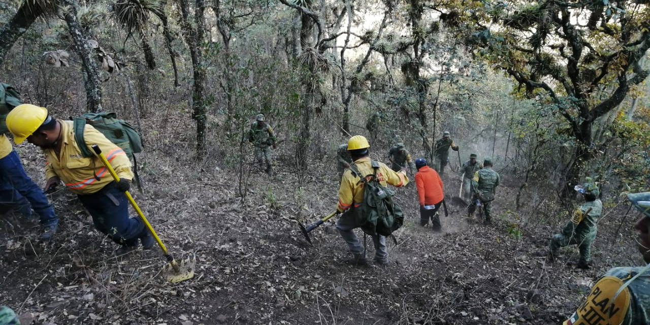 No cesan incendios forestales en Oaxaca; combaten 10 en una semana | El Imparcial de Oaxaca