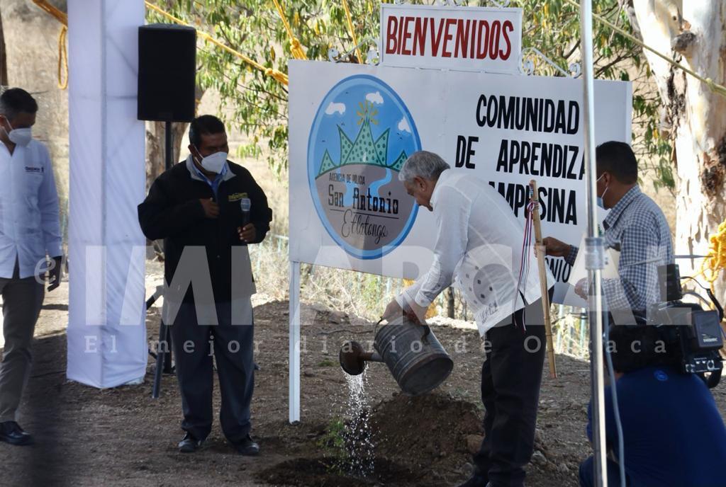 AMLO supervisa el programa Sembrando Vida en San Mateo Etlatongo, Oaxaca