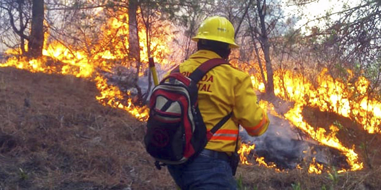 Conafor pronostica año crítico en incendios forestales | El Imparcial de Oaxaca