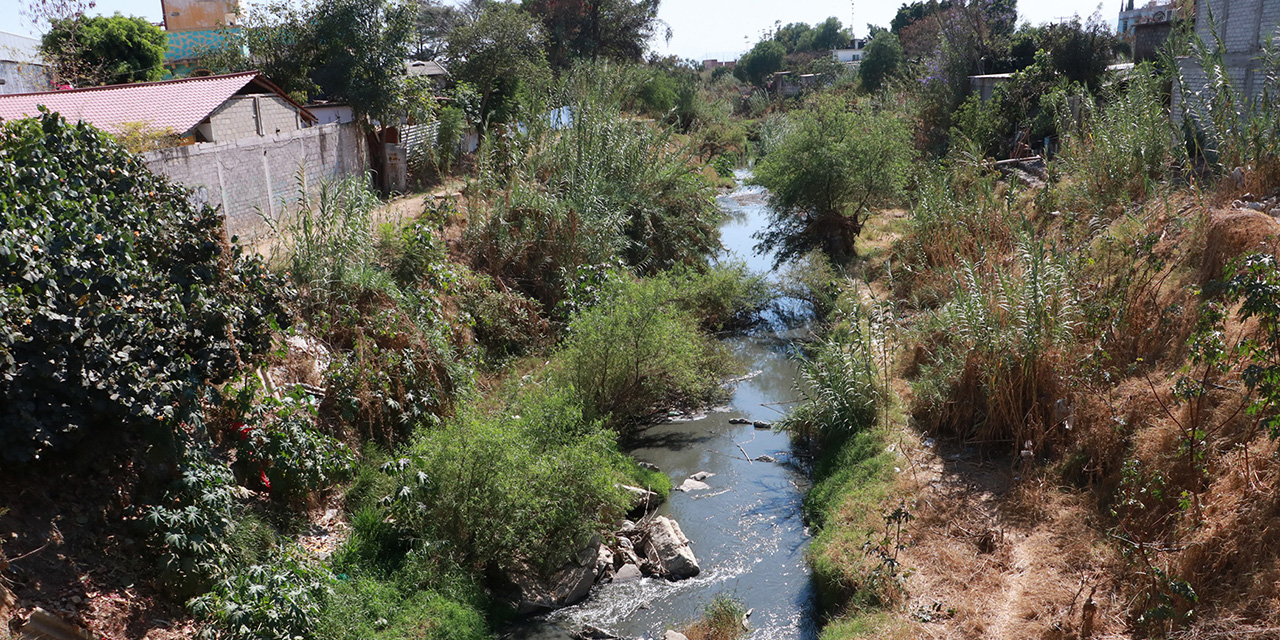 Tiran aguas negras a ríos; gobiernos locales se niegan a sanear