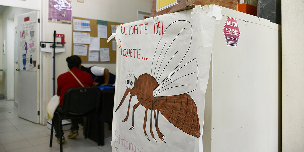 Acumula Oaxaca 5 casos de dengue en lo que va del año | El Imparcial de Oaxaca