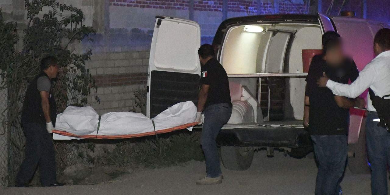 Ambientalistas de Oaxaca advierten más de una década para recuperación de hábitats