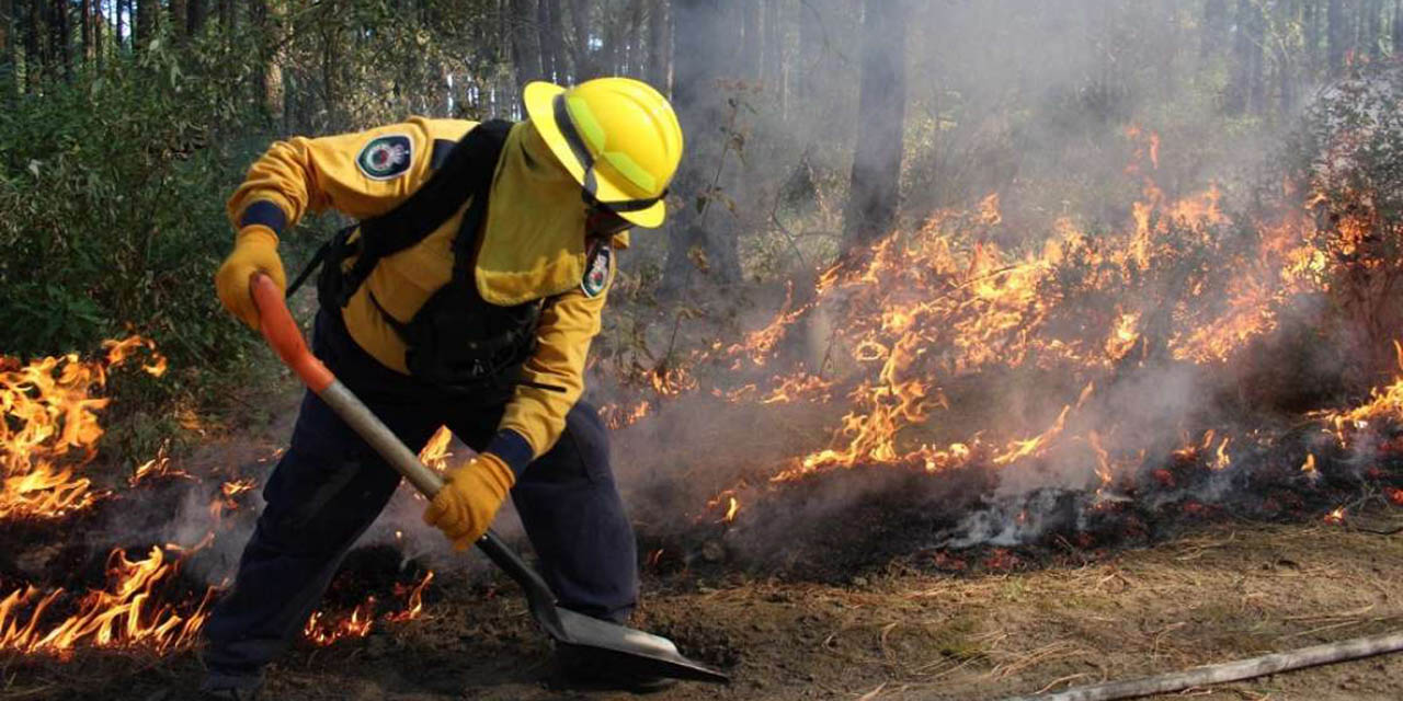 La acción humana es responsable del 90% de incendios forestales | El Imparcial de Oaxaca