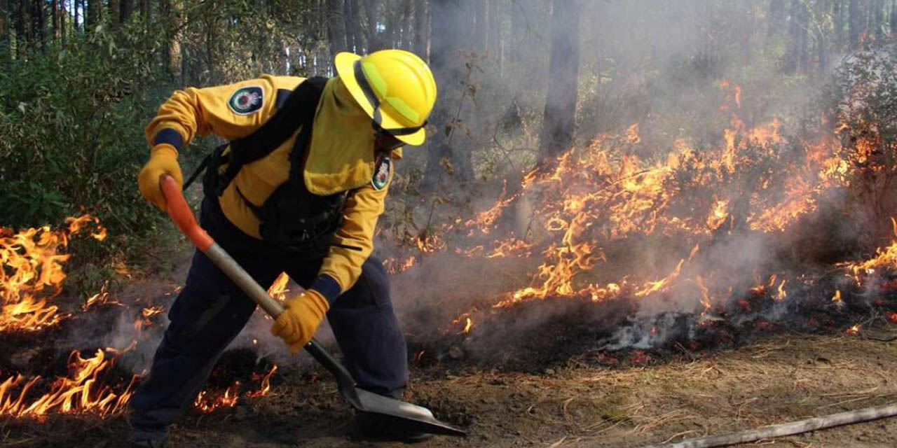 La acción humana es responsable del 90% de incendios forestales