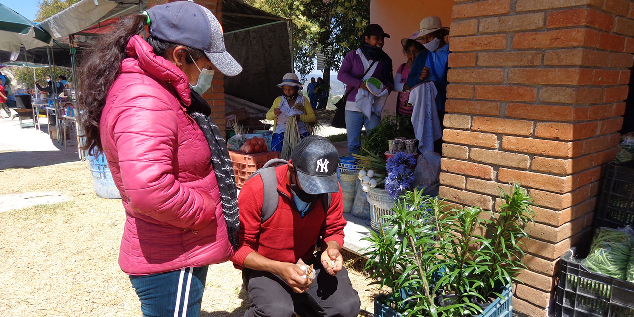 Abren un día de plaza  alternativa en Santiago Nundichi | El Imparcial de Oaxaca