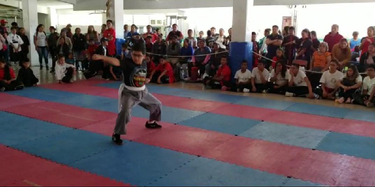 Demostrarán sus mejores técnicas en el Torneo Virtual Estatal de Artes Marciales Populares 2021 | El Imparcial de Oaxaca