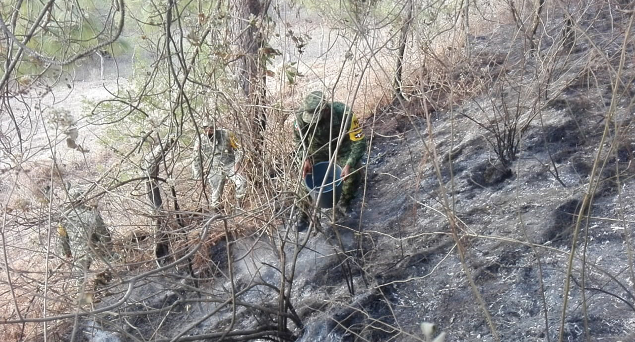 Ejército Mexicano aplica Plan DN-III para sofocar incendio en la Mixteca | El Imparcial de Oaxaca