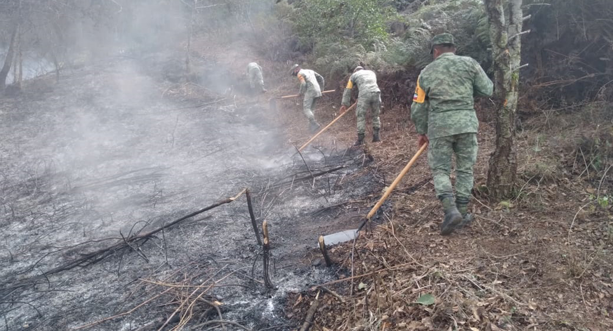 Apagan incendio forestal en Yuchio el Alto en Juxtlahuaca | El Imparcial de Oaxaca