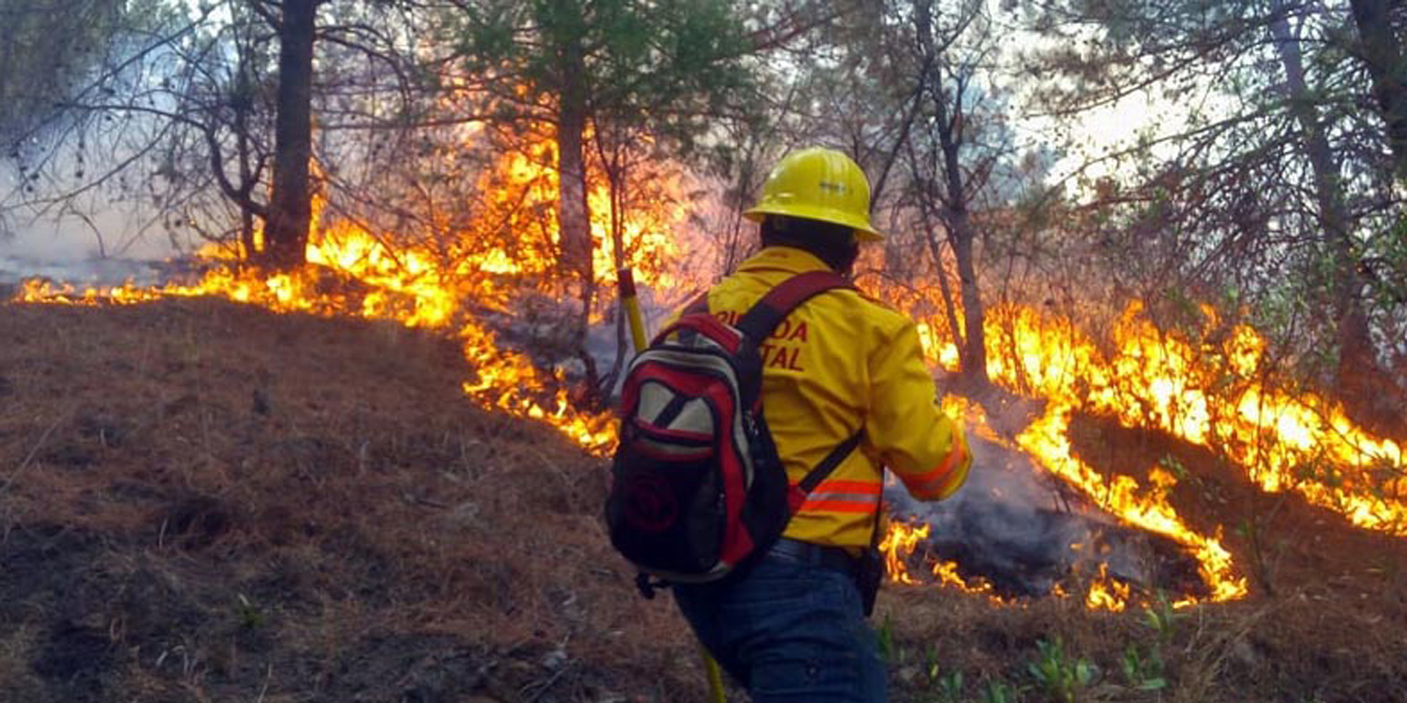 Incendios consumen más de 2 mil hectáreas