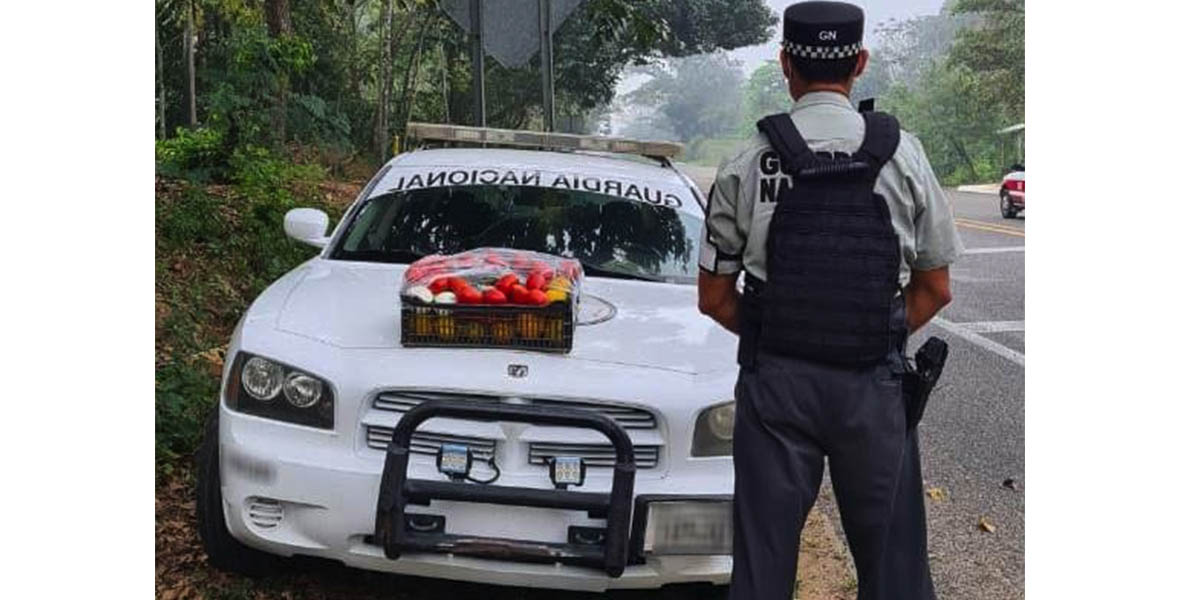Asegura Guardia Nacional droga oculta entre frutas y verduras | El Imparcial de Oaxaca