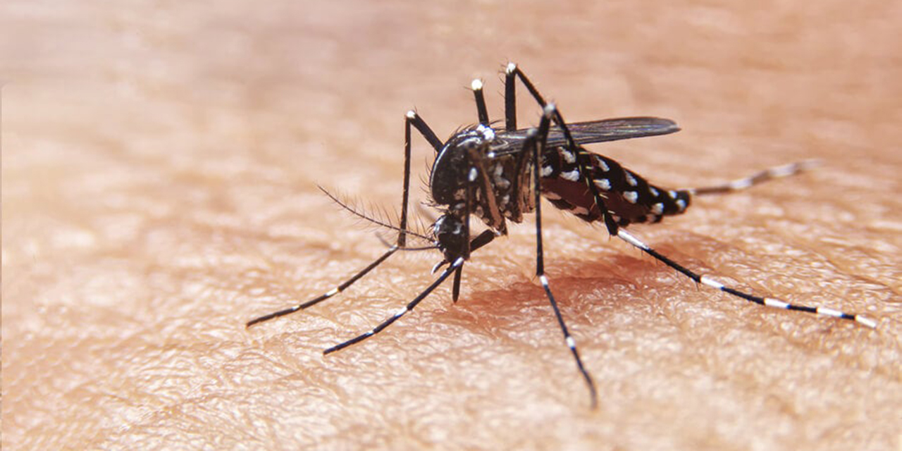 Registran primer deceso por dengue en Oaxaca en 2021