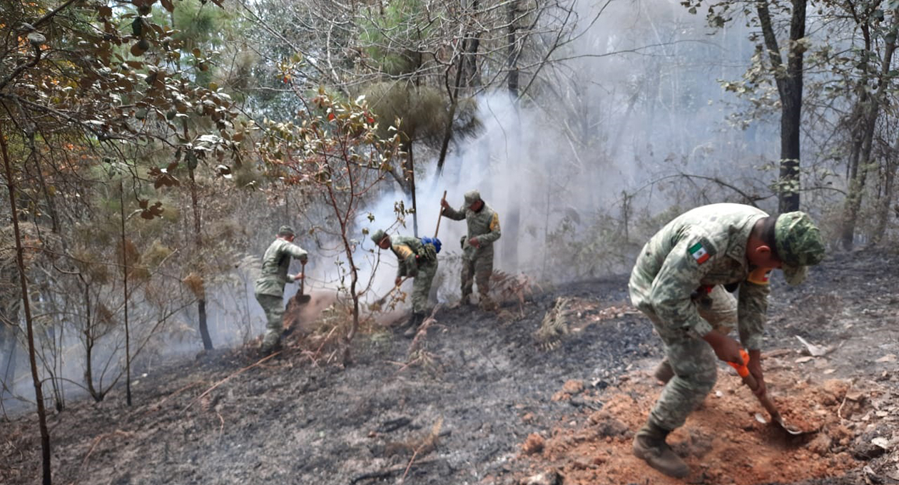 Controlan incendio forestal en San Martín Toxpalan | El Imparcial de Oaxaca