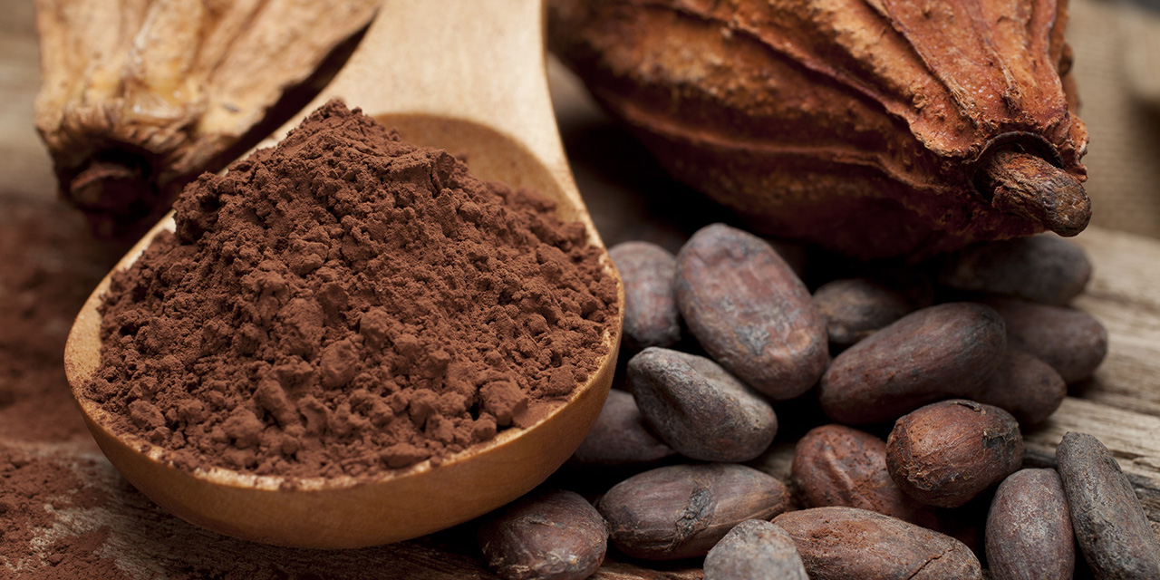 El cacao puede proteger el corazón de los efectos del estrés mental | El Imparcial de Oaxaca