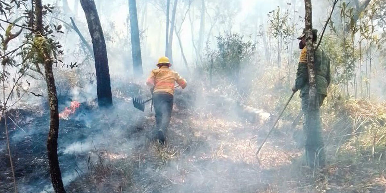 Extinguen incendio forestal en la Costa de Oaxaca | El Imparcial de Oaxaca
