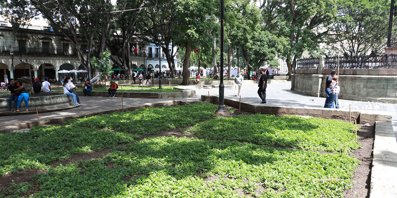 La “Verde Antequera” sin espacios verdes | El Imparcial de Oaxaca