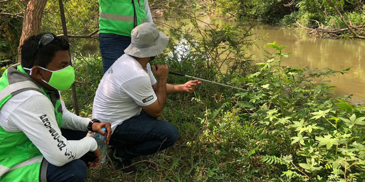 Continúa búsqueda de ejemplares de cocodrilos en el Río Espíritu Santo | El Imparcial de Oaxaca