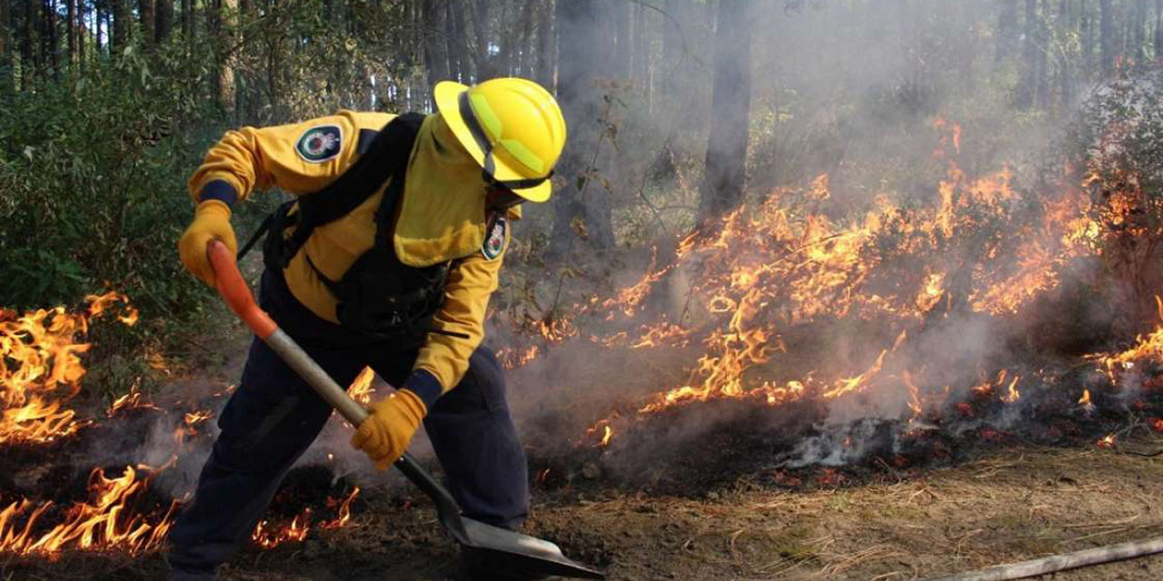 Incendios forestales no dan tregua en Oaxaca