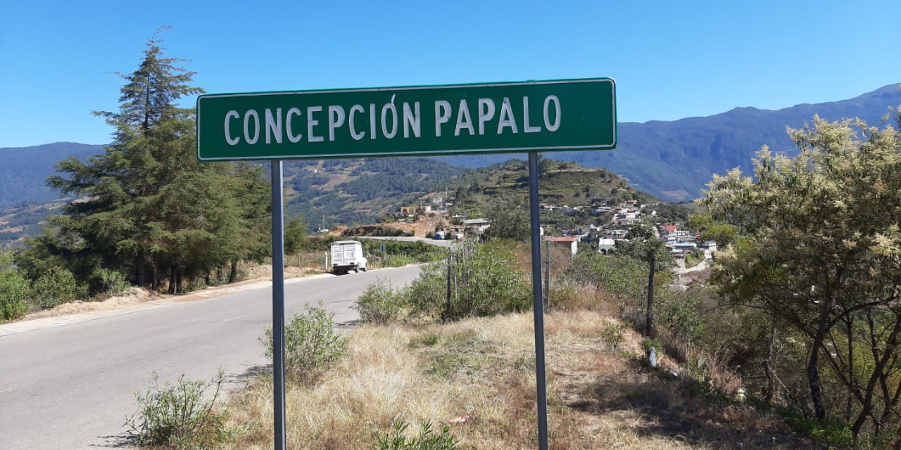 Van 3 planillas por la presidencia de Concepción Pápalo | El Imparcial de Oaxaca