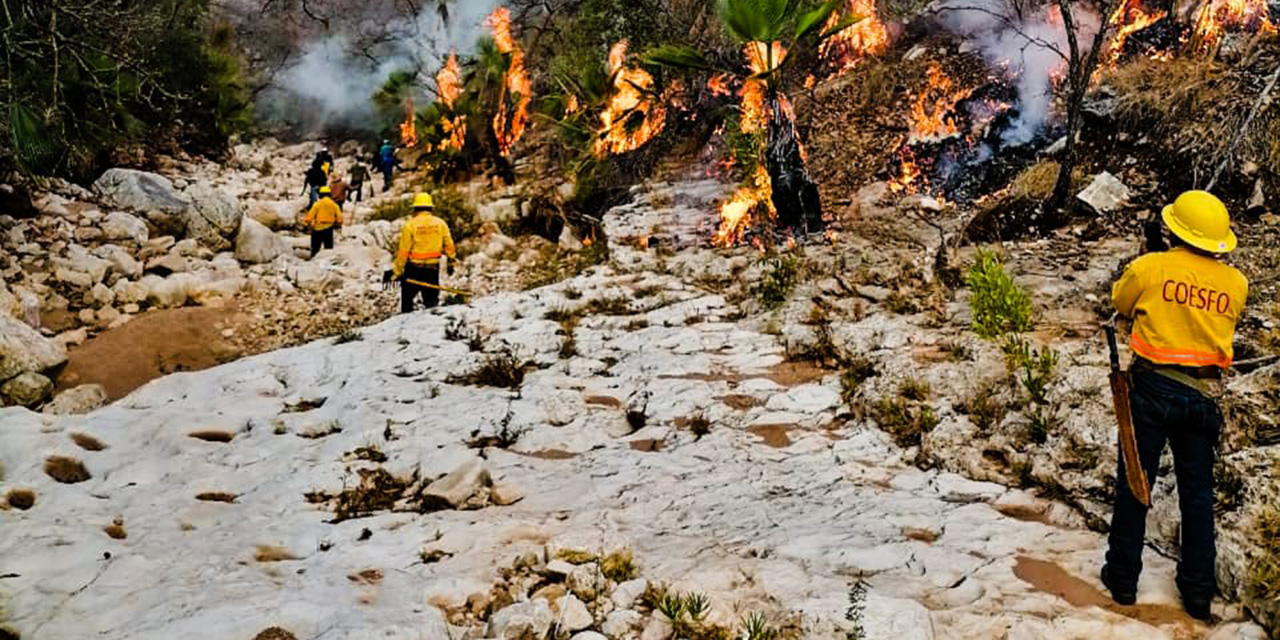 Sofocan incendio en Magdalena Jaltepec | El Imparcial de Oaxaca