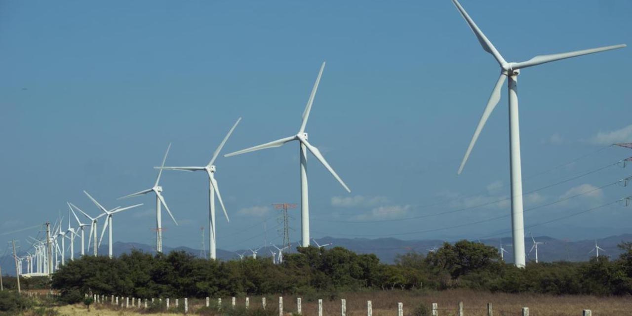 Vinculan agresiones a defensores con proyectos eólicos: ProDESC