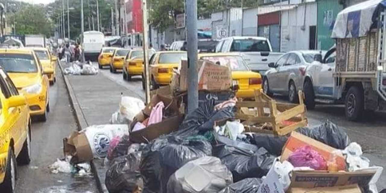 Exhiben basura ante falta de servicio de limpia en Salina Cruz | El Imparcial de Oaxaca