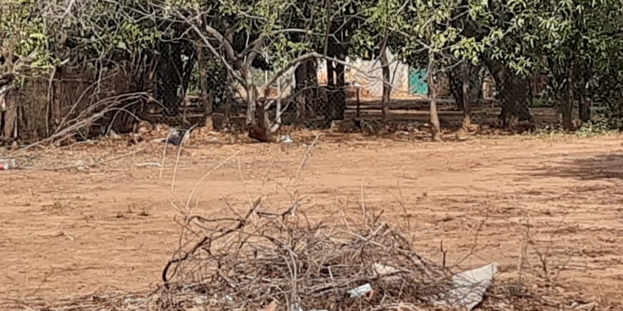 Lo sorprende la muerte en un terreno baldío de Tehuantepec | El Imparcial de Oaxaca