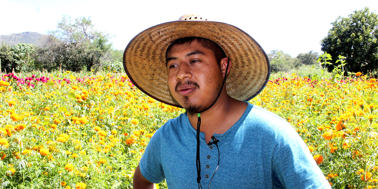 Huajolotitlán, segundo productor de calabacita a nivel estatal | El Imparcial de Oaxaca