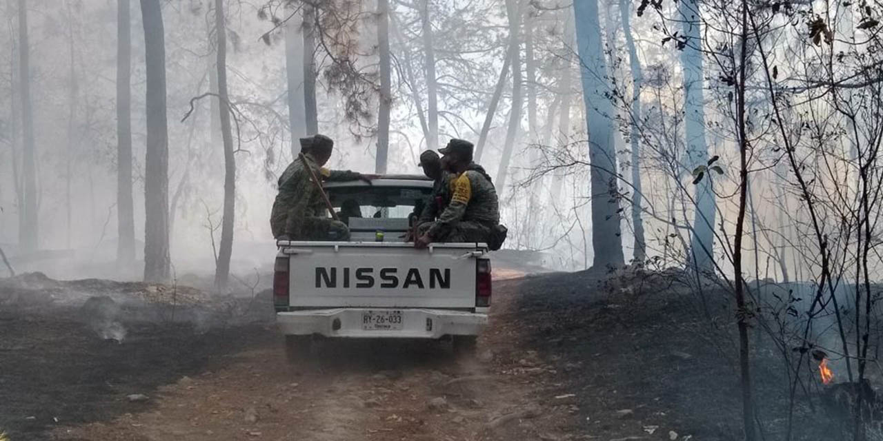 Apagan incendio en el Polvorín | El Imparcial de Oaxaca Apagan incendio en el Polvorín | El Imparcial de Oaxaca