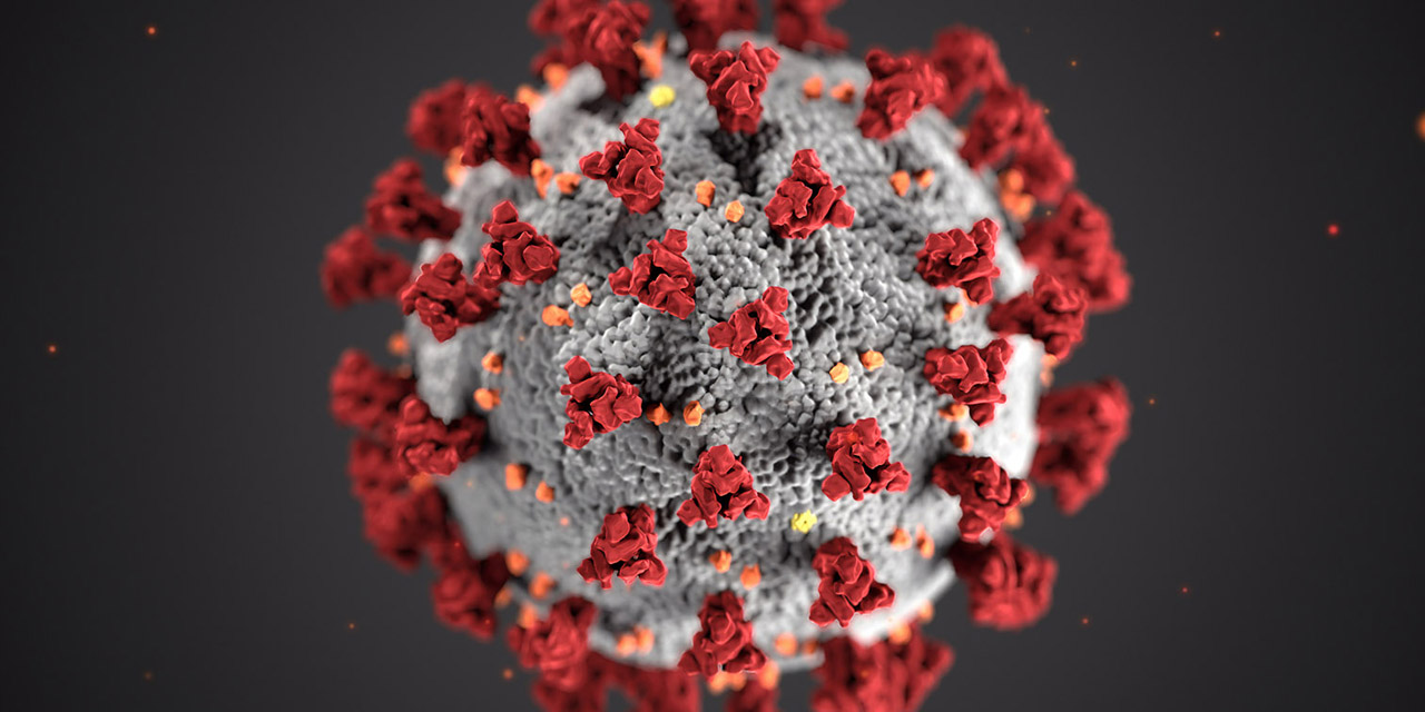 Descubren ‘Punto débil’ del coronavirus para evitar su propagación | El Imparcial de Oaxaca
