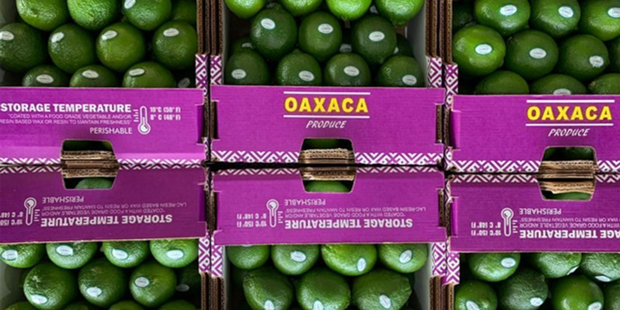 Oaxaca se consolida como productor agroalimentario | El Imparcial de Oaxaca Oaxaca se consolida como productor agroalimentario | El Imparcial de Oaxaca