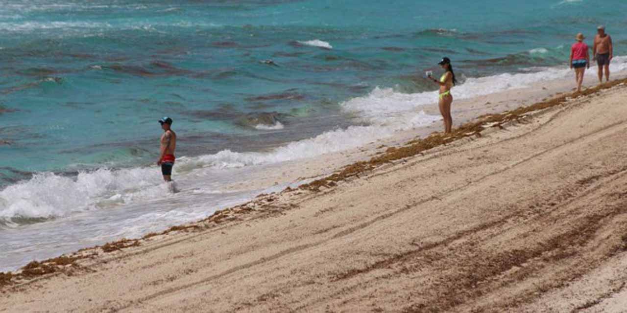 Cancún sufre invasión de sargazo, las playas turísticas lucen infestadas | El Imparcial de Oaxaca