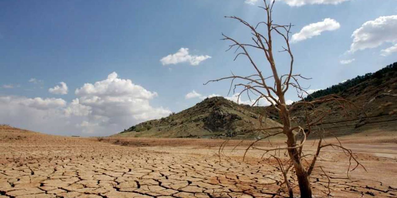 268 municipios de Oaxaca con algún grado de sequía | El Imparcial de Oaxaca