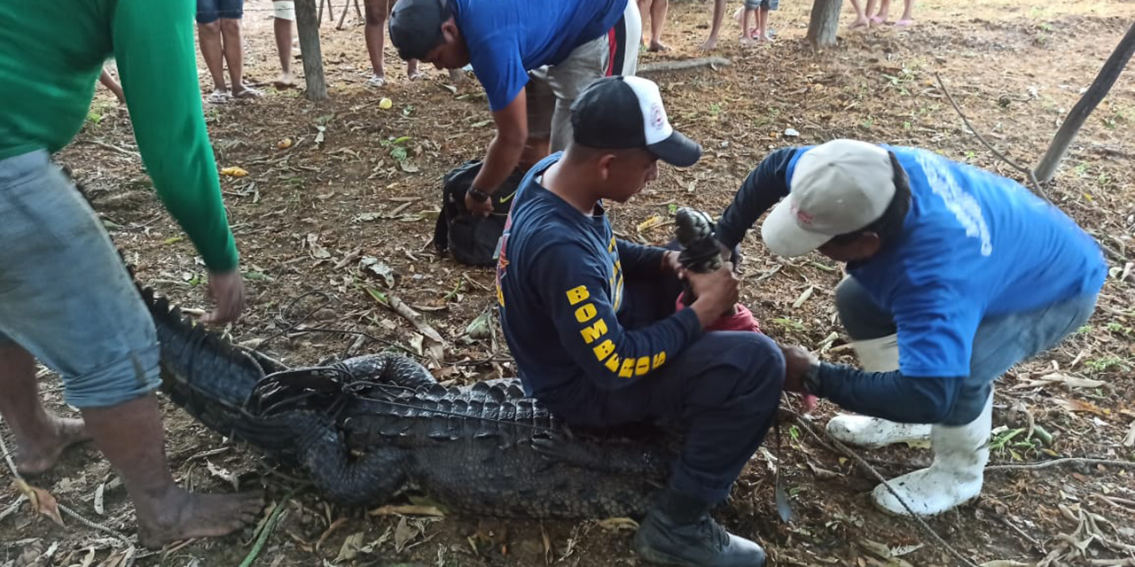 Extranjeras son atacadas por cocodrilo en la Costa | El Imparcial de Oaxaca