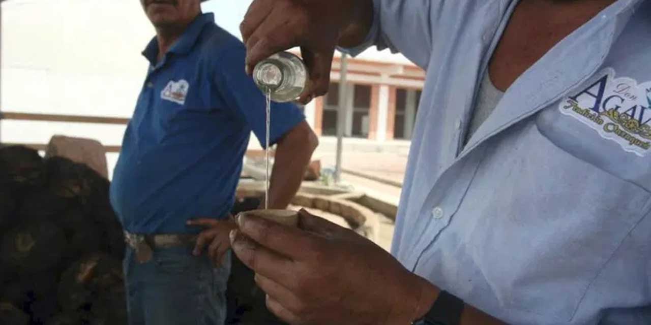 Disputa entre productores de mezcal cuesta 330 mdp al mes | El Imparcial de Oaxaca