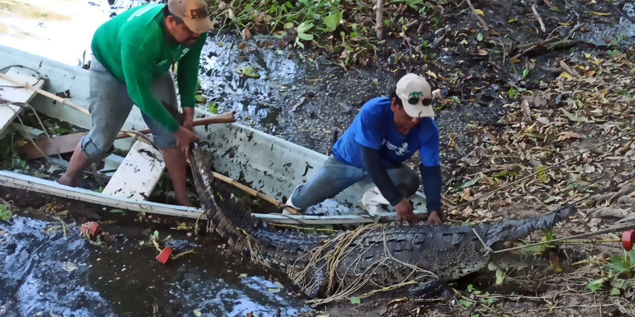 Gobierno estatal brinda apoyo a turistas atacadas por cocodrilo | El Imparcial de Oaxaca