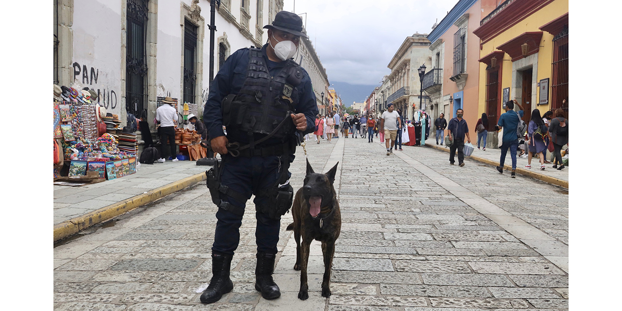 Cumple 20 años la unidad canina, el binomio perfecto | El Imparcial de Oaxaca