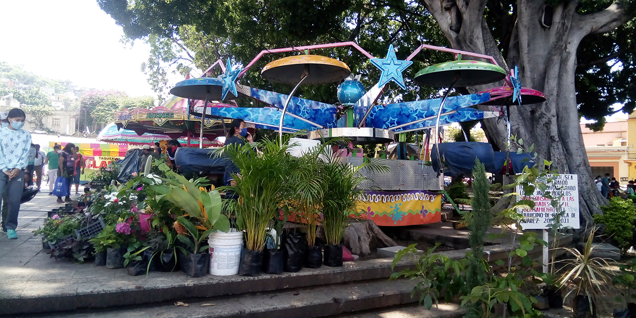 Instalan feria en el Jardín Morelos sin permiso del Ayuntamiento | El Imparcial de Oaxaca Instalan feria en el Jardín Morelos sin permiso del Ayuntamiento | El Imparcial de Oaxaca
