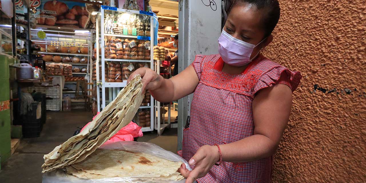 Fuerte crisis pega a productoras de tlayudas | El Imparcial de Oaxaca Fuerte crisis pega a productoras de tlayudas | El Imparcial de Oaxaca