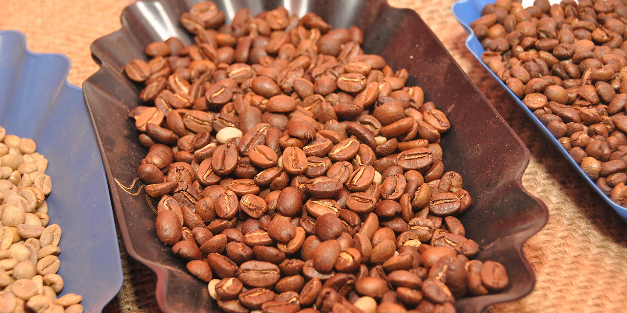 Incluyen a productores de café en Sembrando Vida | El Imparcial de Oaxaca