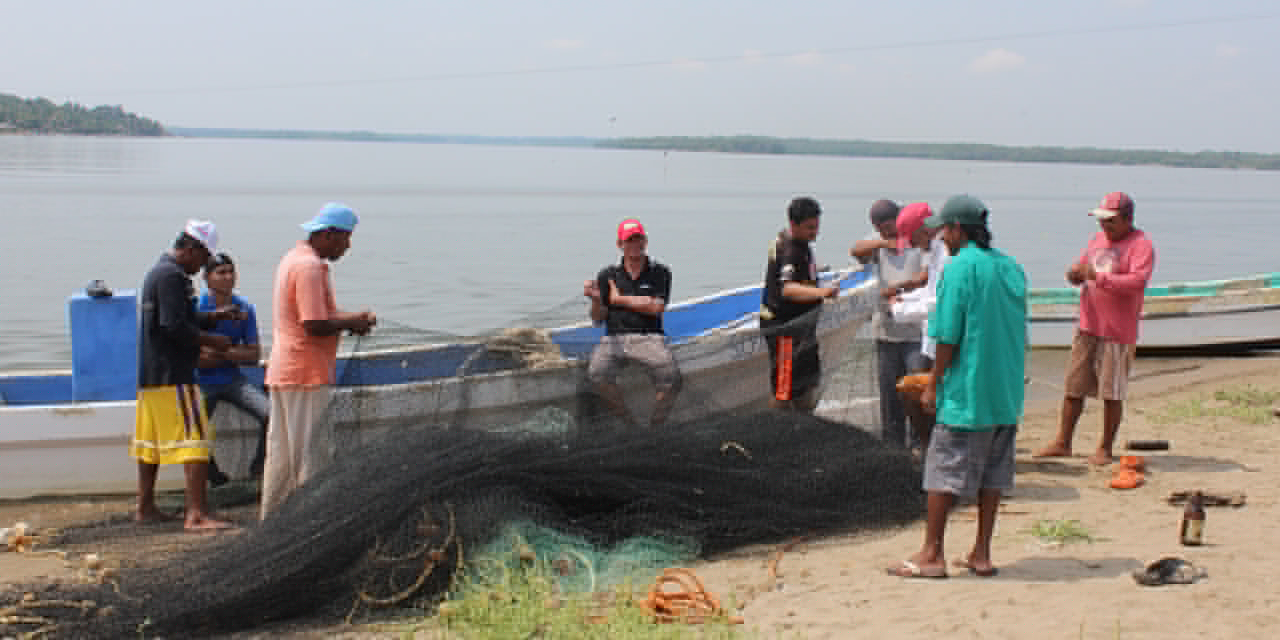 Oaxaca, el tercer mejor productor de agro y pesca | El Imparcial de Oaxaca Oaxaca, el tercer mejor productor de agro y pesca | El Imparcial de Oaxaca