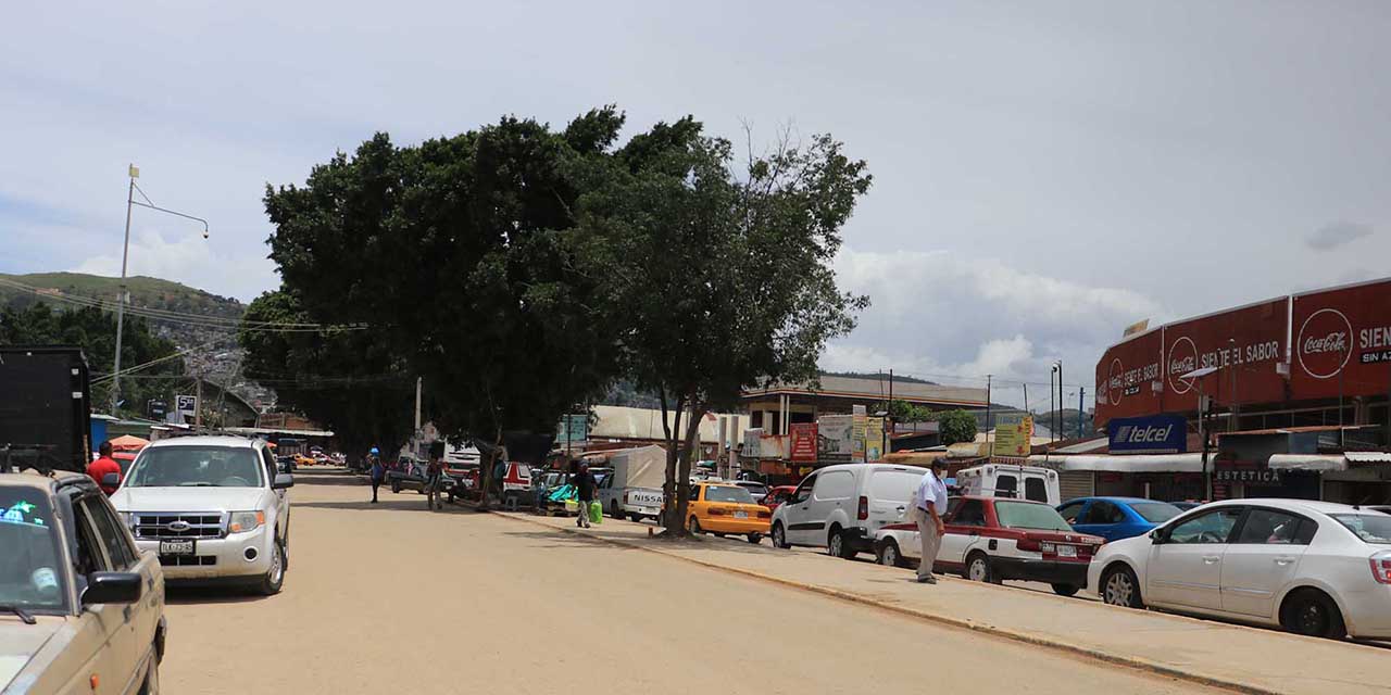 Mercado de Abasto y centro, zonas rojas, advierte Canacope | El Imparcial de Oaxaca Mercado de Abasto y centro, zonas rojas, advierte Canacope | El Imparcial de Oaxaca