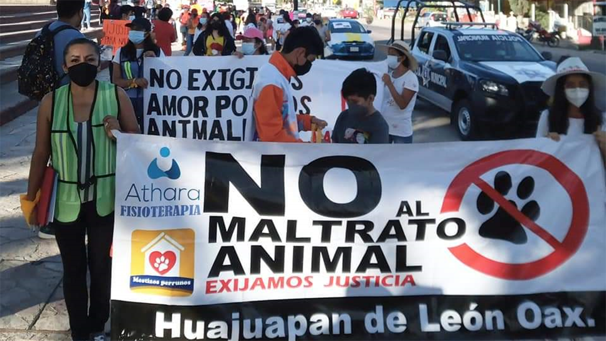 Animalistas protestan por asesinato de animales en Huajuapan | El Imparcial de Oaxaca